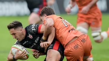 Tarucas cayó en Chile