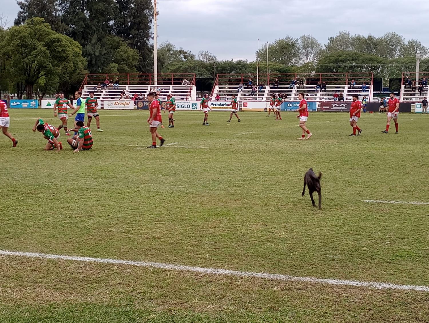 OJO CON EL INTRUSO. Un perrito no tuvo mejor idea que meterse al campo en pleno partido. Foto: Tercer Tiempo NOA // Alvaro Jurao 